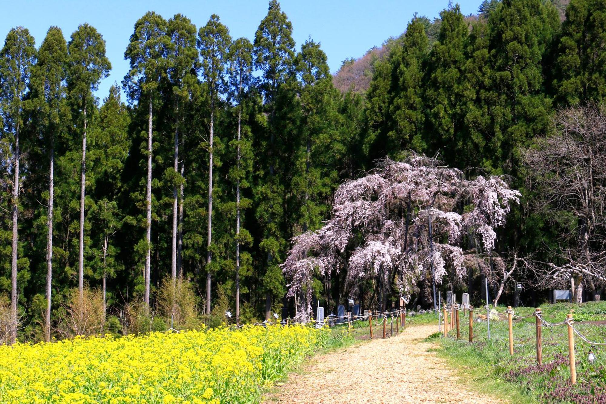 Отель Fujiiso (Adults Only) Takayama  Экстерьер фото